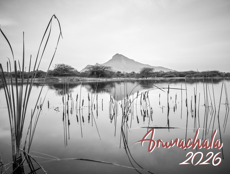 Arunachala Desk Calendar - 2025