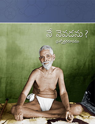 Nenevadanu?(Q&A form) Telugu