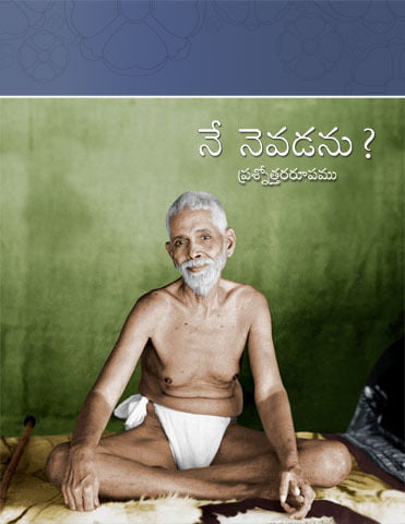 Nenevadanu?(Q&A form) Telugu Nenevadanu?(Q&A form) Telugu