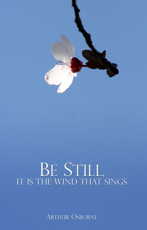 Be Still, It Is the Wind That Sings